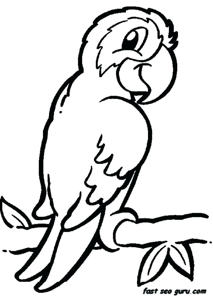 734x1024 Jungle Junction Printable Coloring Pages Elegant Jungle Coloring