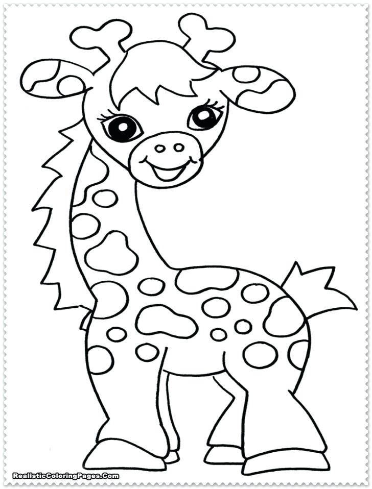 728x958 Jungle Themed Coloring Sheets Cartoon Jungle Animals Coloring