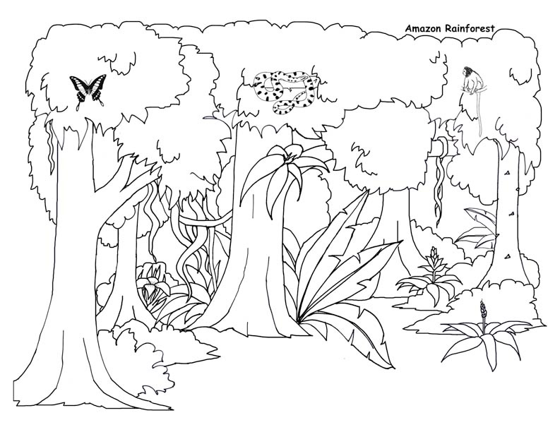793x612 2o Awesome Jungle Coloring Pages