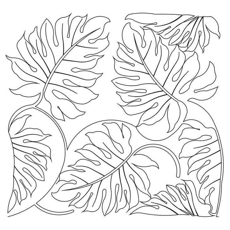 736x736 Jungle Tree Leaves Coloring Pages