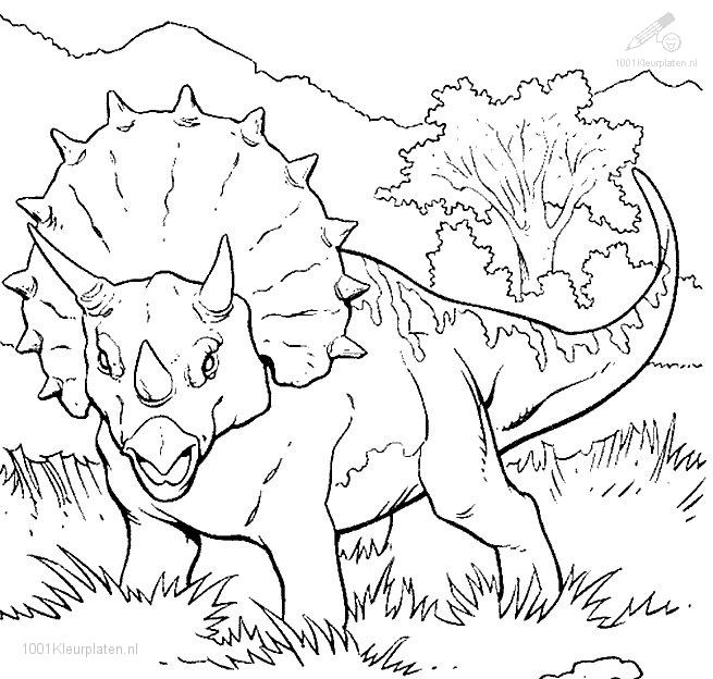 655x624 Jurassic Park Coloring Pages 5