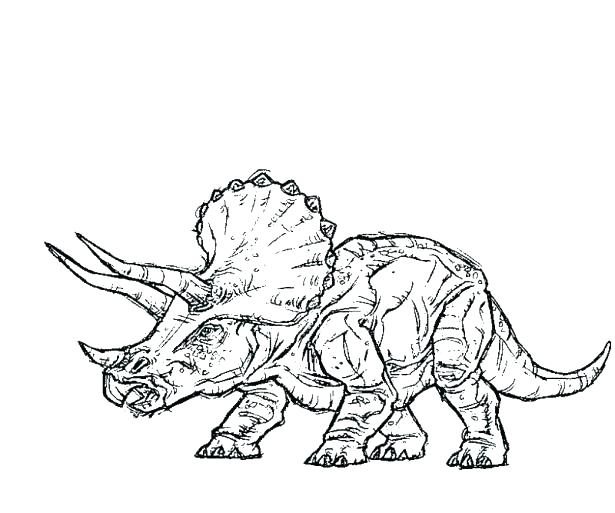 615x513 Park Movies Printable Coloring Pages Coloring Page Park Movies