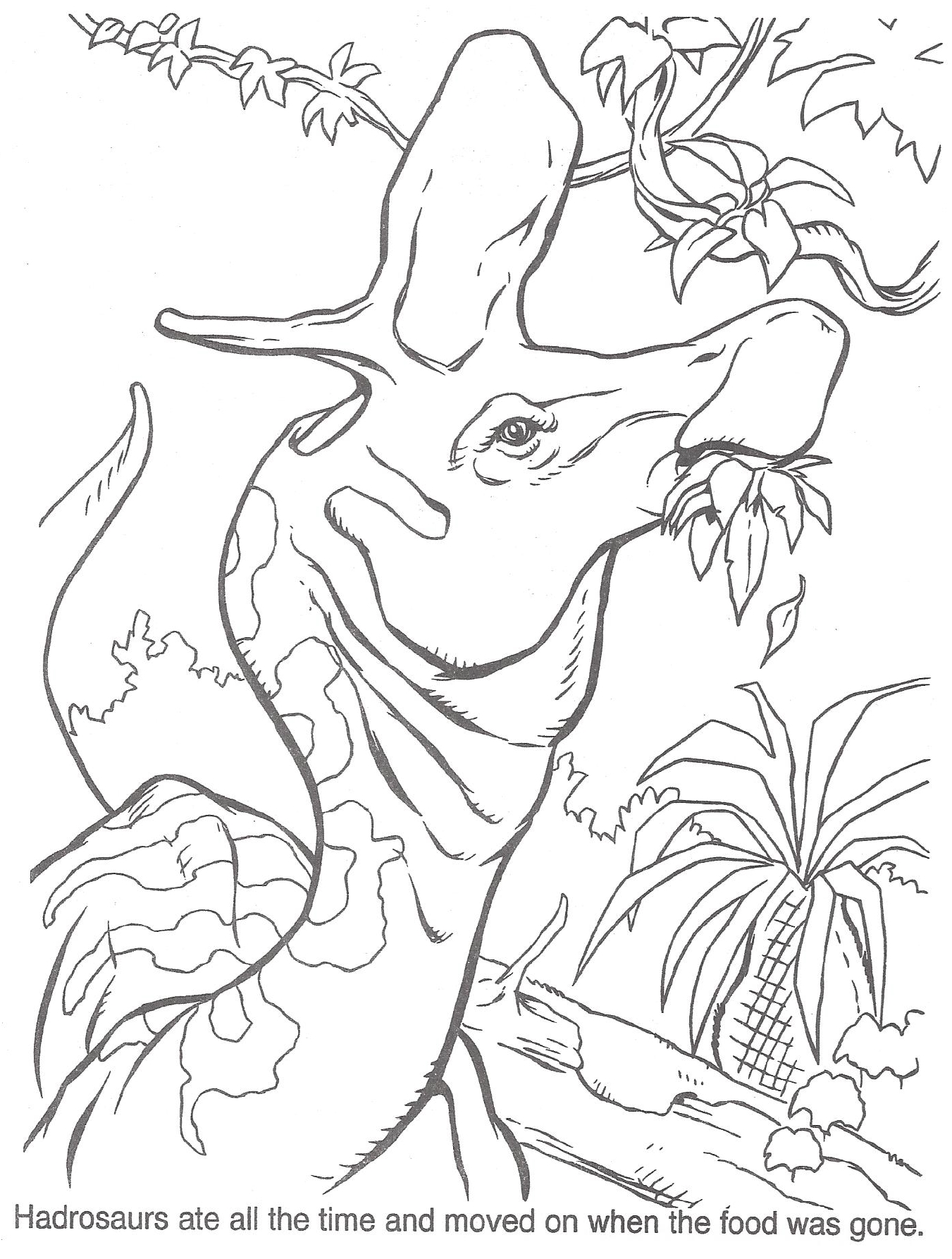 1351x1786 Remarkable Velociraptor Coloring Page Gallery
