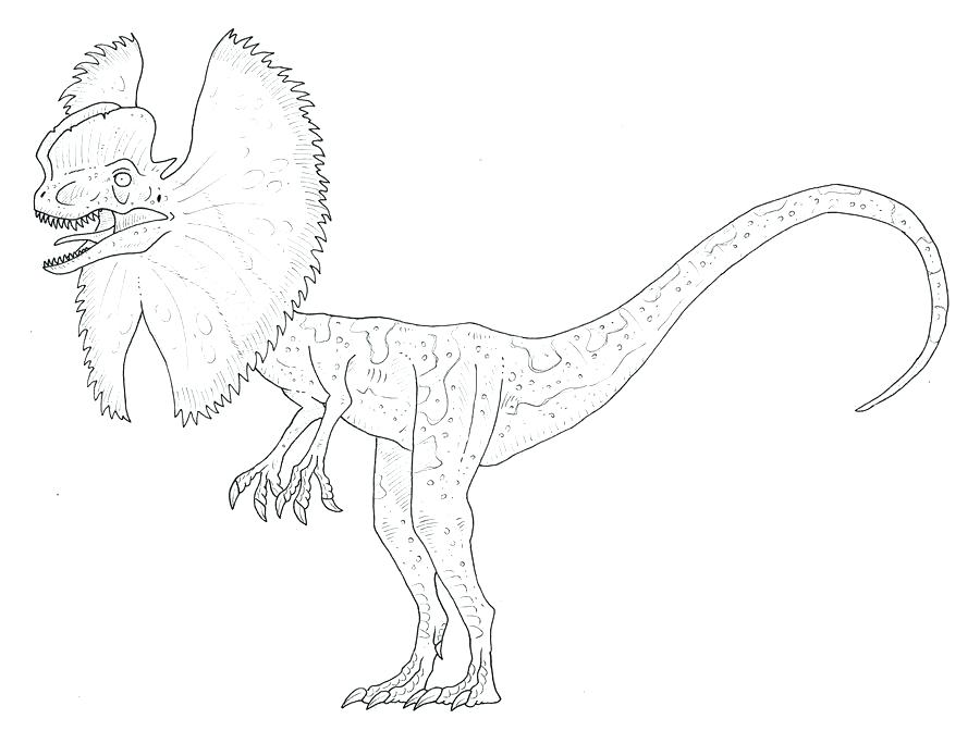 900x672 Velociraptor Coloring Pages Coloring Page Coloring Page Coloring
