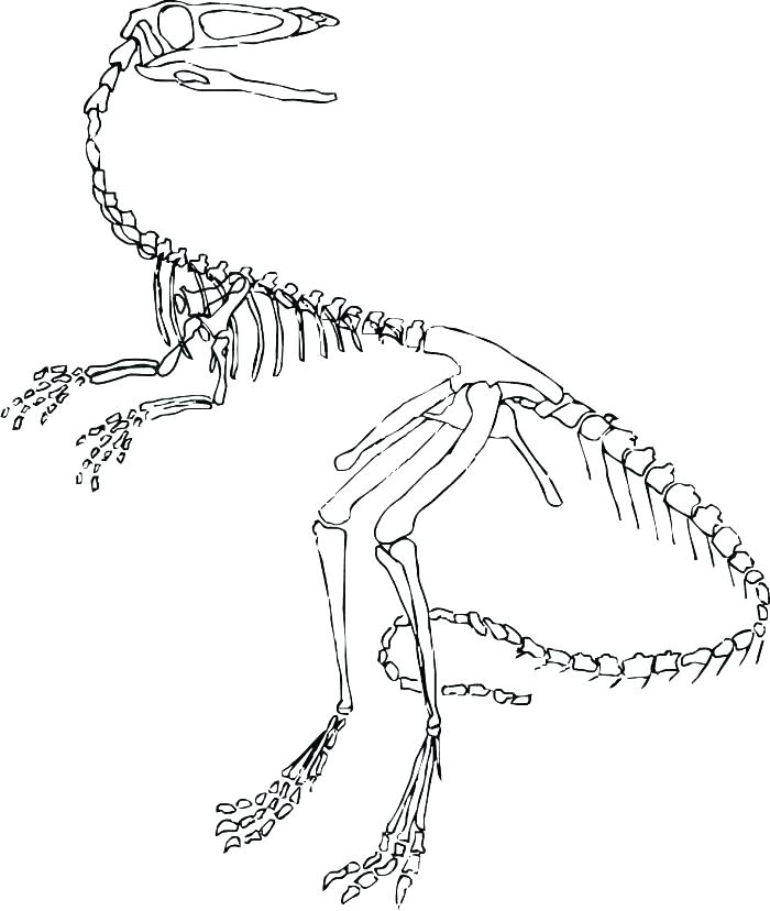 700x828 Jurassic Park Coloring