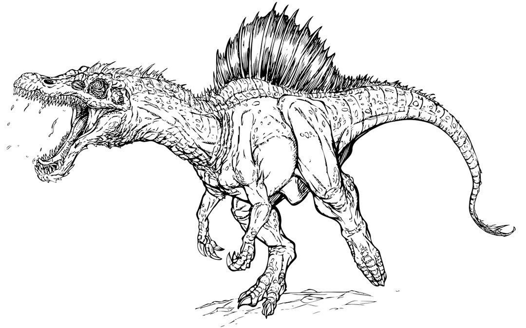 1080x674 Jurassic Park Coloring Pages Jurassic Park T Rex Coloring Page