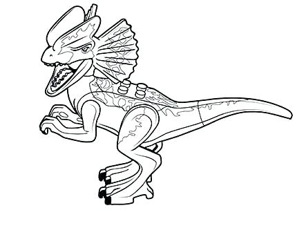 427x330 Dilophosaurus Coloring Page Coloring Pages Dinosaurs Dinosaurs