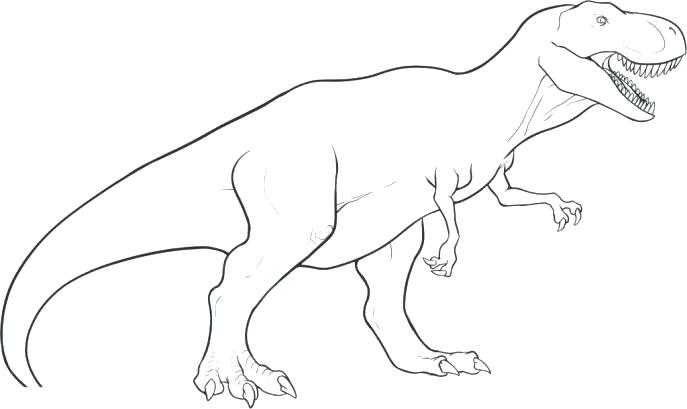 687x409 T Rex Coloring Page Coloring Page Medium Size Of Coloring To Draw