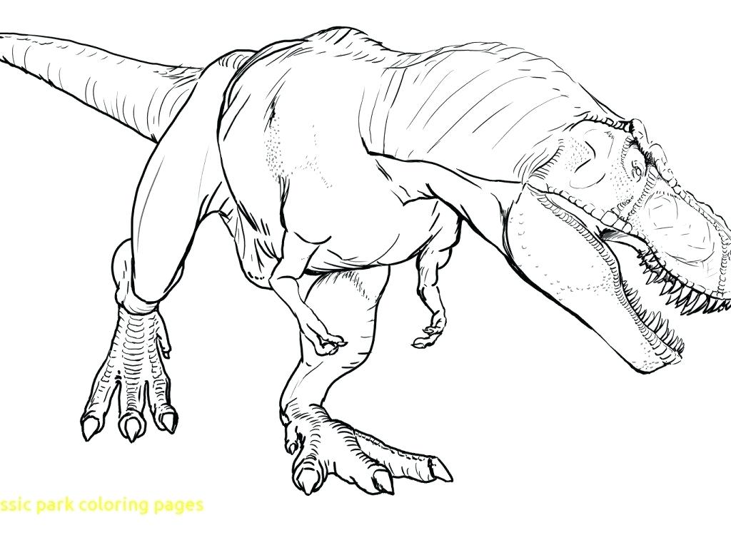 1024x764 Jurassic Park Coloring Pages Coloring Pages And Dinosaur Printable