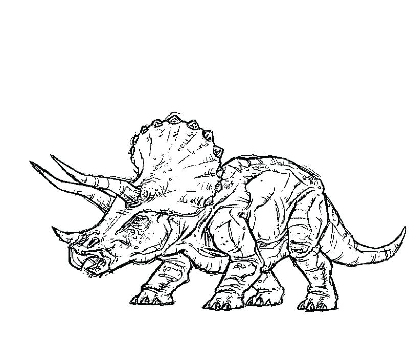 800x667 Jurassic Park Coloring Book As Well As Printable Dinosaur Coloring