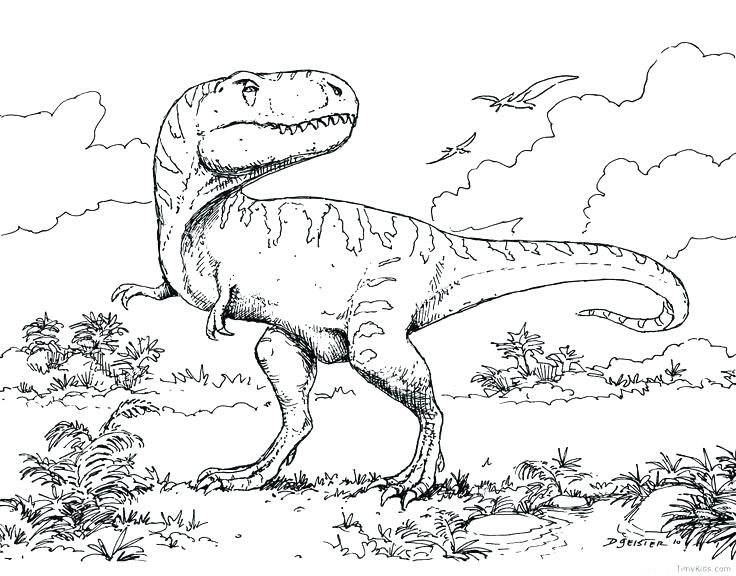 736x576 Jurassic Park T Rex Coloring Pages Spinosaurus Theropod Dinosaur