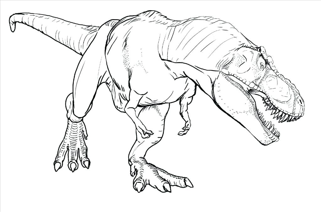 1023x675 T Rex Coloring Page T Coloring Pages Rex Coloring Pages Www