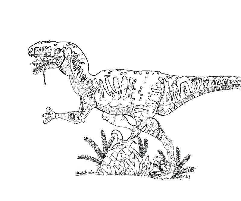 800x667 Velociraptor Coloring Page Coloring Pages Raptor Foot Soldier By