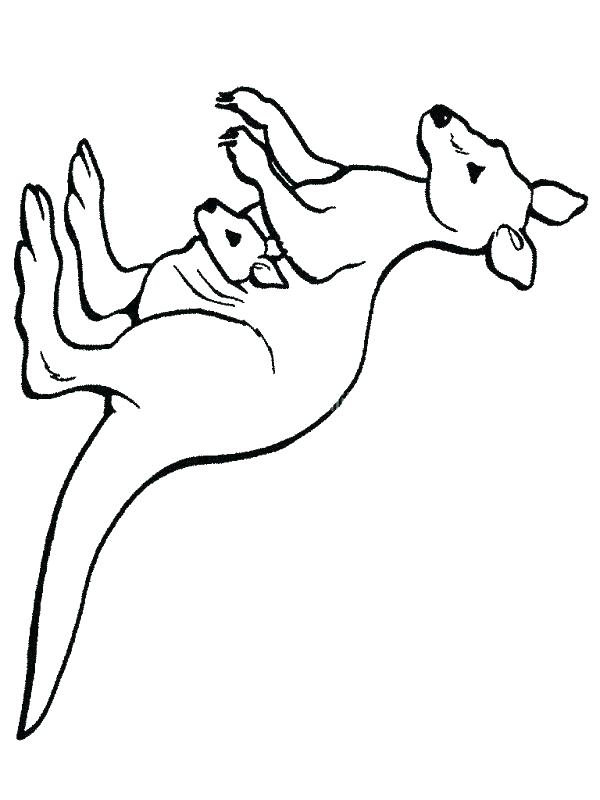 600x800 Kangaroo Color Page Kangaroo And Joey Coloring Pages Kangaroo