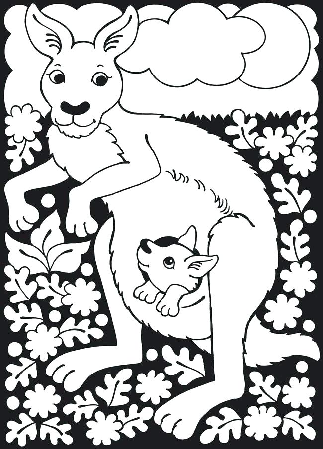 650x904 Kangaroo Color Page Kangaroo Coloring Pages Nice Kangaroo Coloring