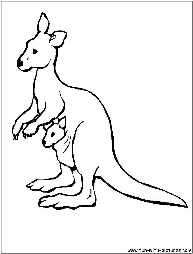800x1050 Kangaroo Coloring Page Best Of Free Coloring Pages Of Joey