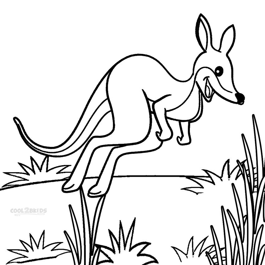 850x850 Printable Kangaroo Coloring Pages For Kids Cool2bkids