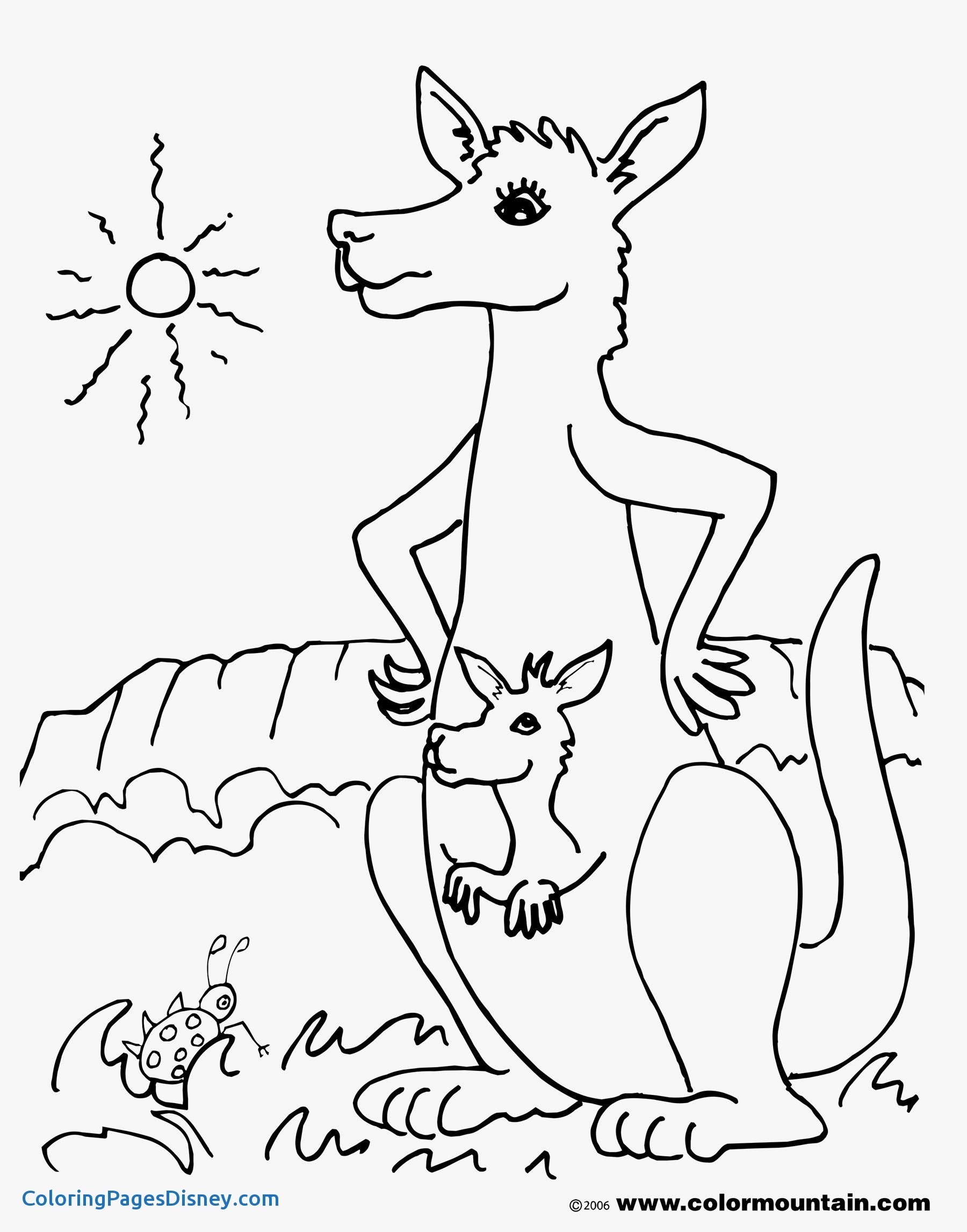 1800x2294 Tree Kangaroo Coloring Pages Unique Kangaroo Dot To Dot Activity