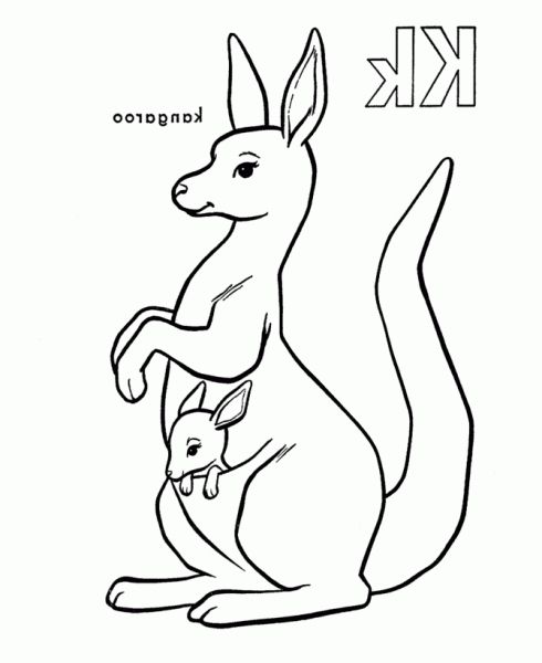 490x600 Incredible Lovely Kangaroo Coloring Sheet