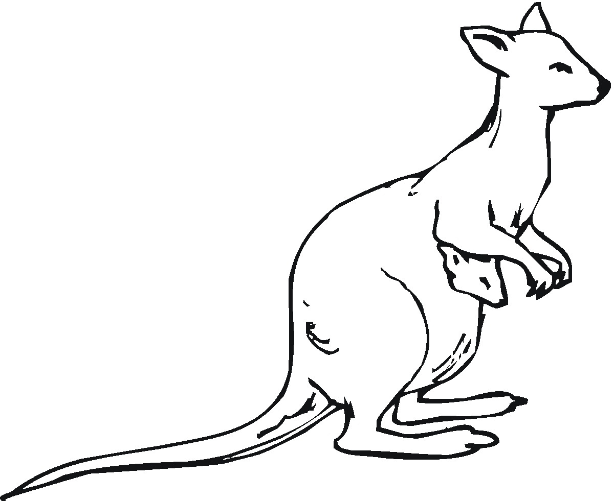 1200x981 Kangaroo Coloring Page Unique Printable Kangaroo Coloring Pages