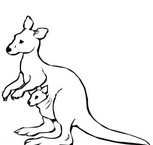 300x283 Kangaroo Coloring Pages For Kids