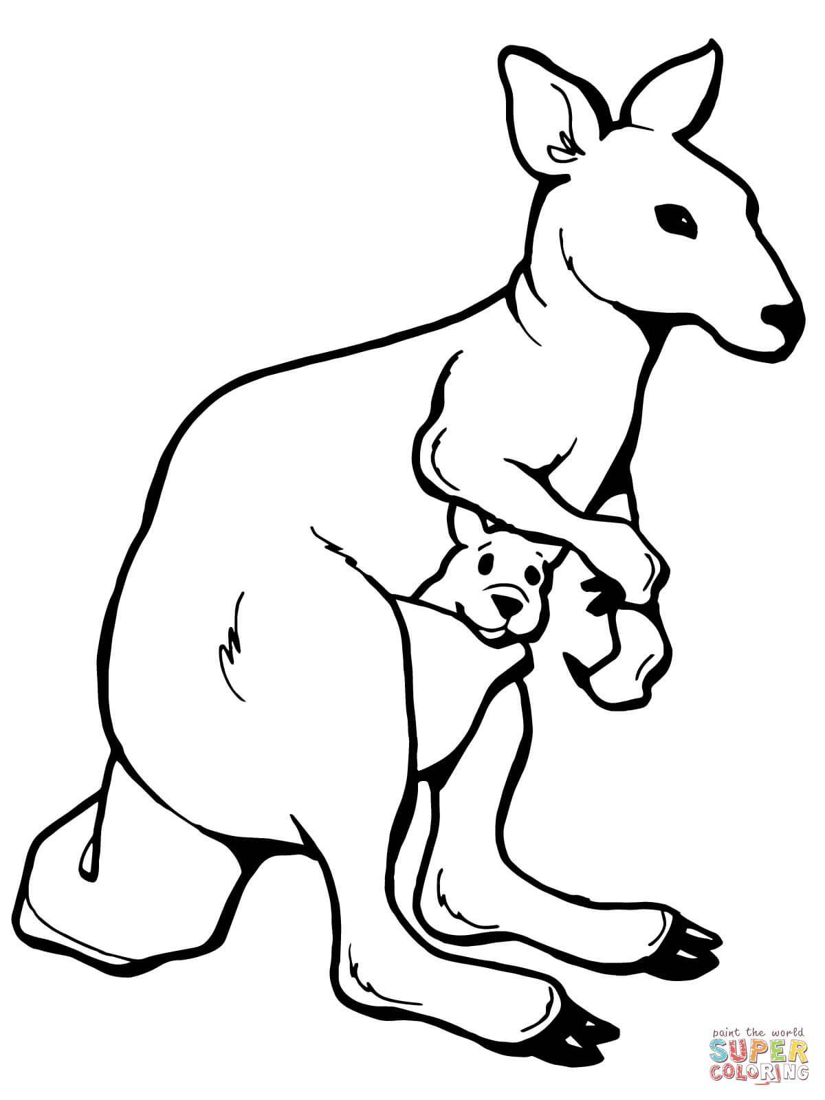 1200x1600 Reliable Kangaroo Colouring Page Kangaroos Coloring Pages Free