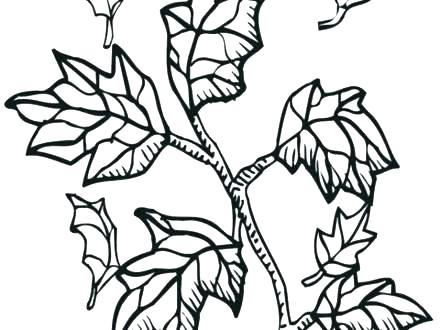 440x330 Football Helmet New Jets Coloring Page Kids Coloring Pages