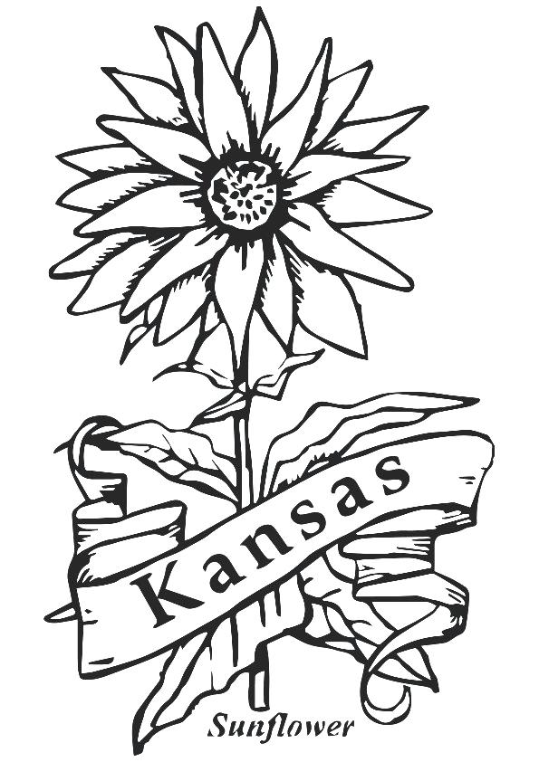 595x842 Sunflower Coloring Pages