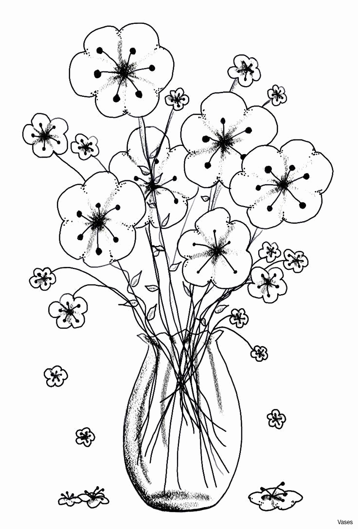 736x1088 Best Coloring Pages For Adults New Fresh Cool Kansas Coloring Page