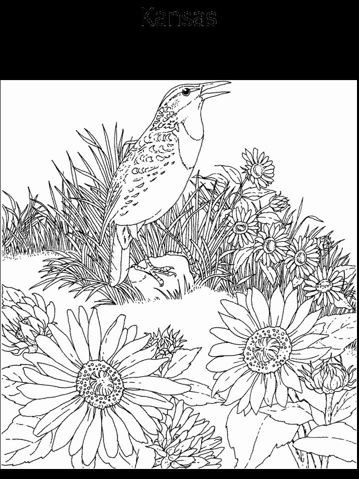 Kansas Day Coloring Pages