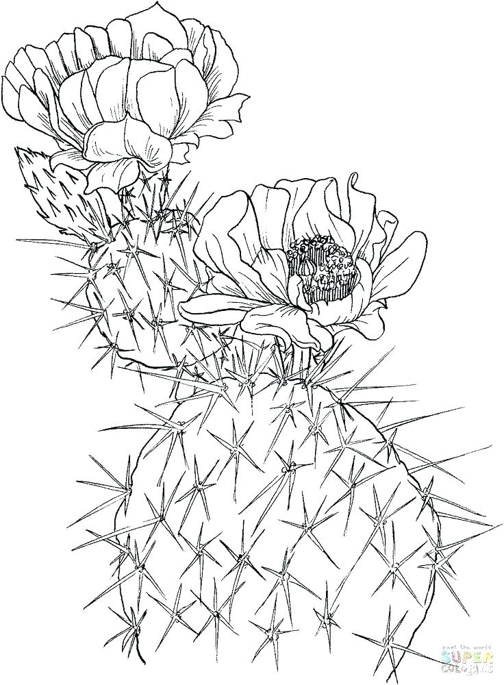 736x1000 Gotenks Super Saiyan 3 Coloring Pages Coloring Pages Coloring