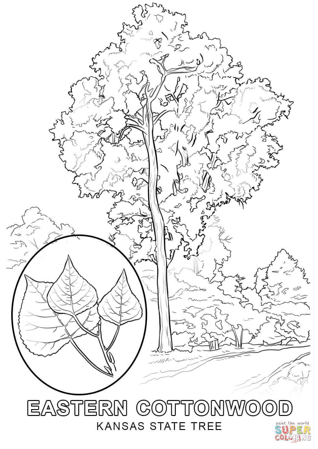 1020x1440 27 Western Meadowlark Coloring Page, Friends Across America Free