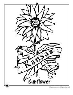 236x305 Kansas Day Coloring Pages With Traceable Words {Free} Kansas Day