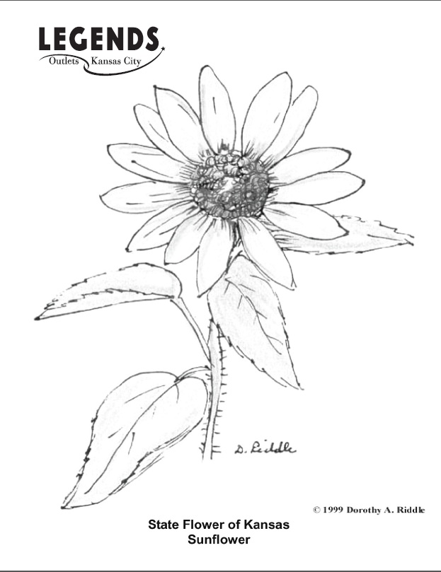 623x809 Best Photos Of Kansas State Symbols Coloring Pages