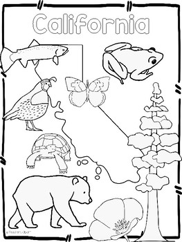 263x350 Usa State Symbols Coloring Sheets By Teacher's Clipart Tpt