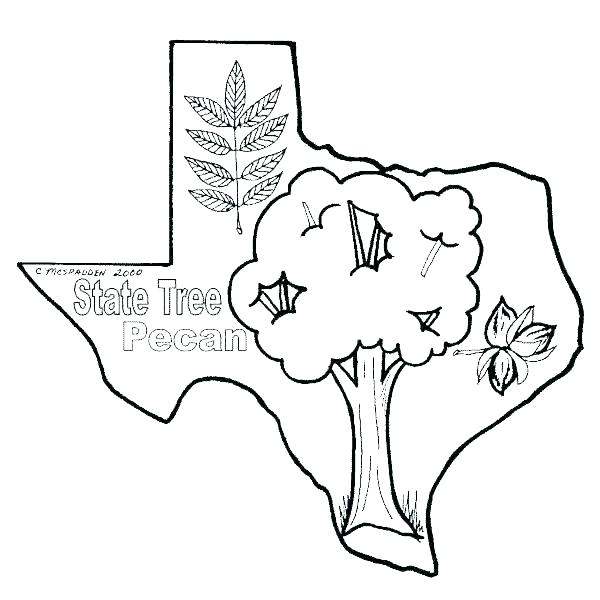 600x600 Florida State Symbols Coloring Sheets Fuhrer Von