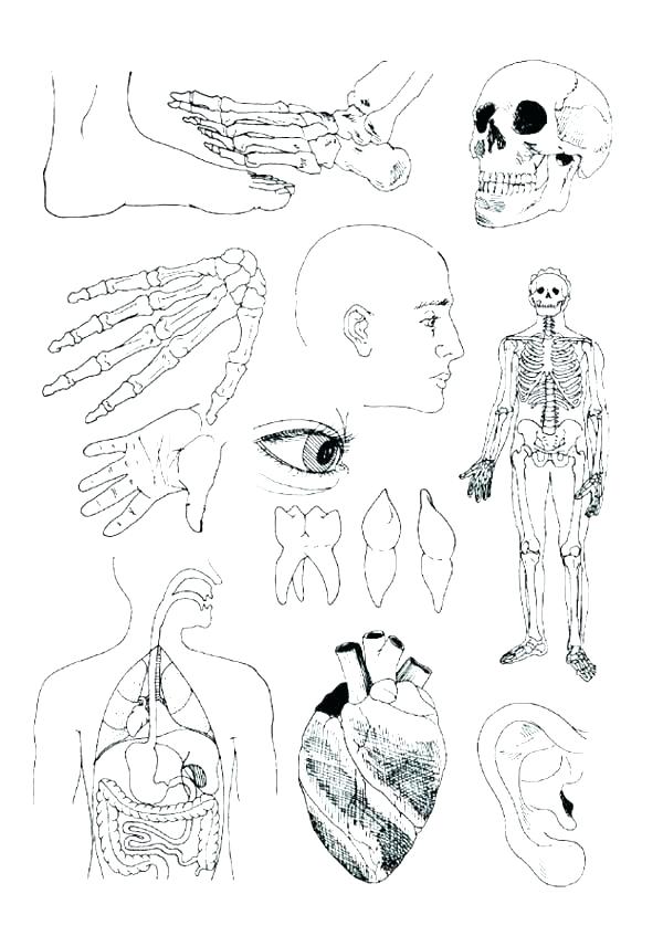 600x847 Katy Perry Coloring Page Coloring Pages Puzzle Singer Coloring