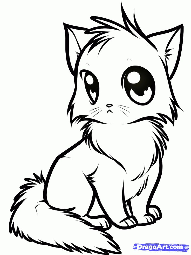 736x984 Drawn Baby Animal Kawaii