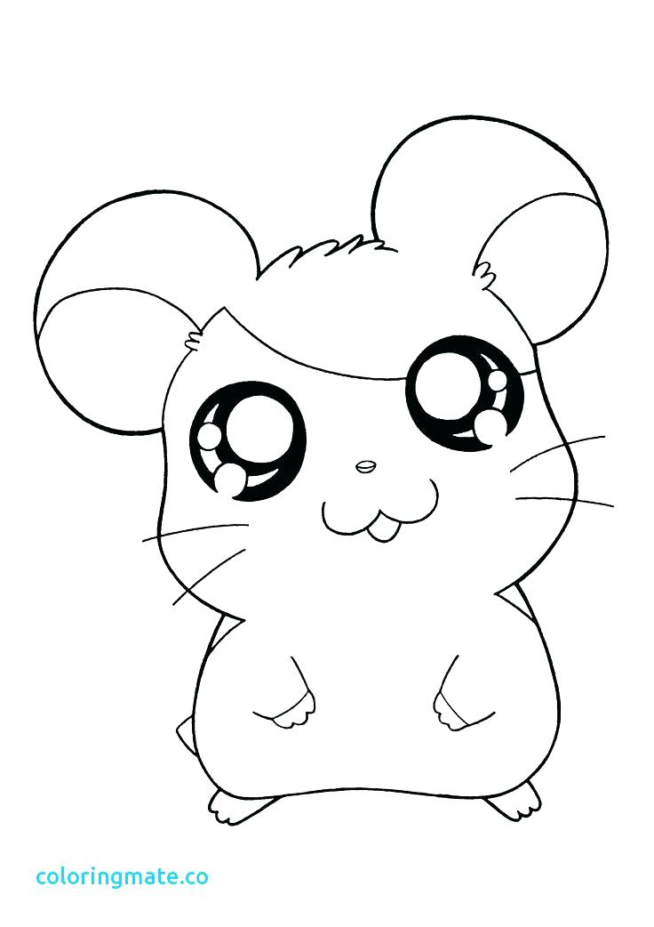 736x1042 Kawaii Coloring Pages Fruits Vegetables Doodle Coloring Page
