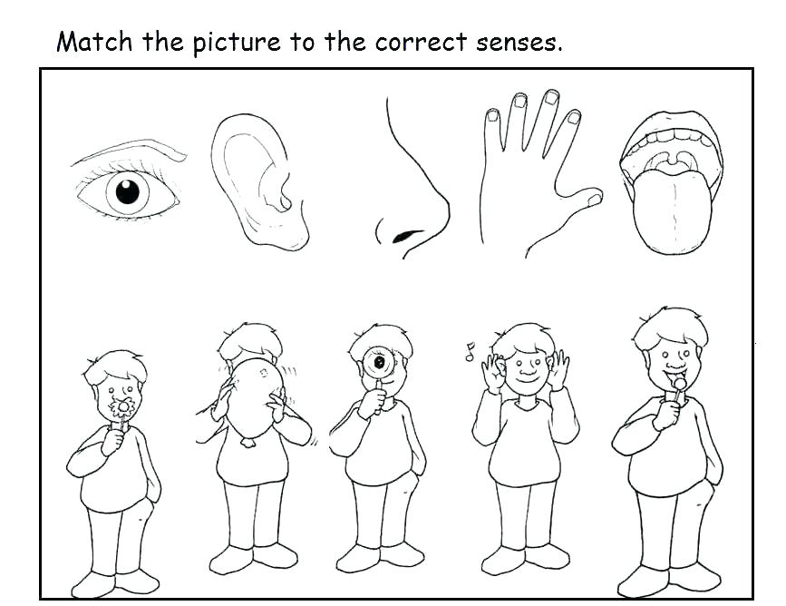 867x668 Five Senses Coloring Pages Five Senses Coloring Pages Five Senses
