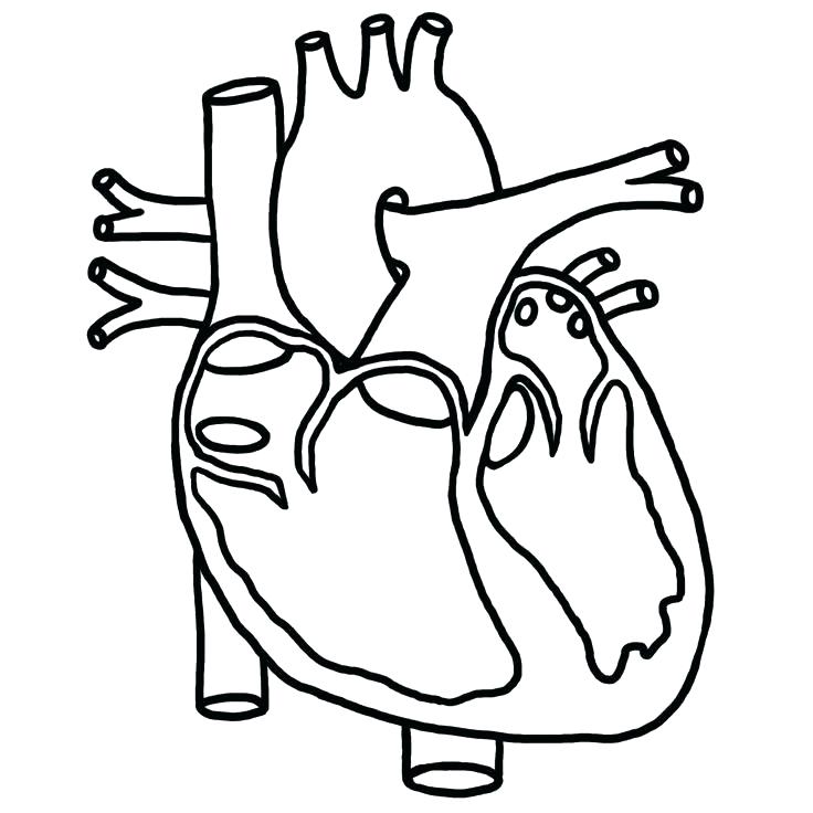 736x736 Construction Signs Coloring Pages Construction Signs Coloring
