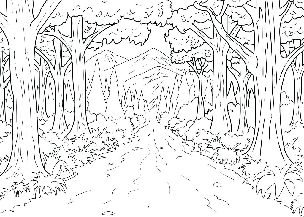 1024x731 Kelp Forest Coloring Marine Life Coloring Pages Kelp Forest