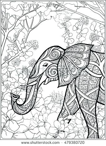 341x470 Rainforest Coloring Page Kelp Rainforest Layers Coloring Page