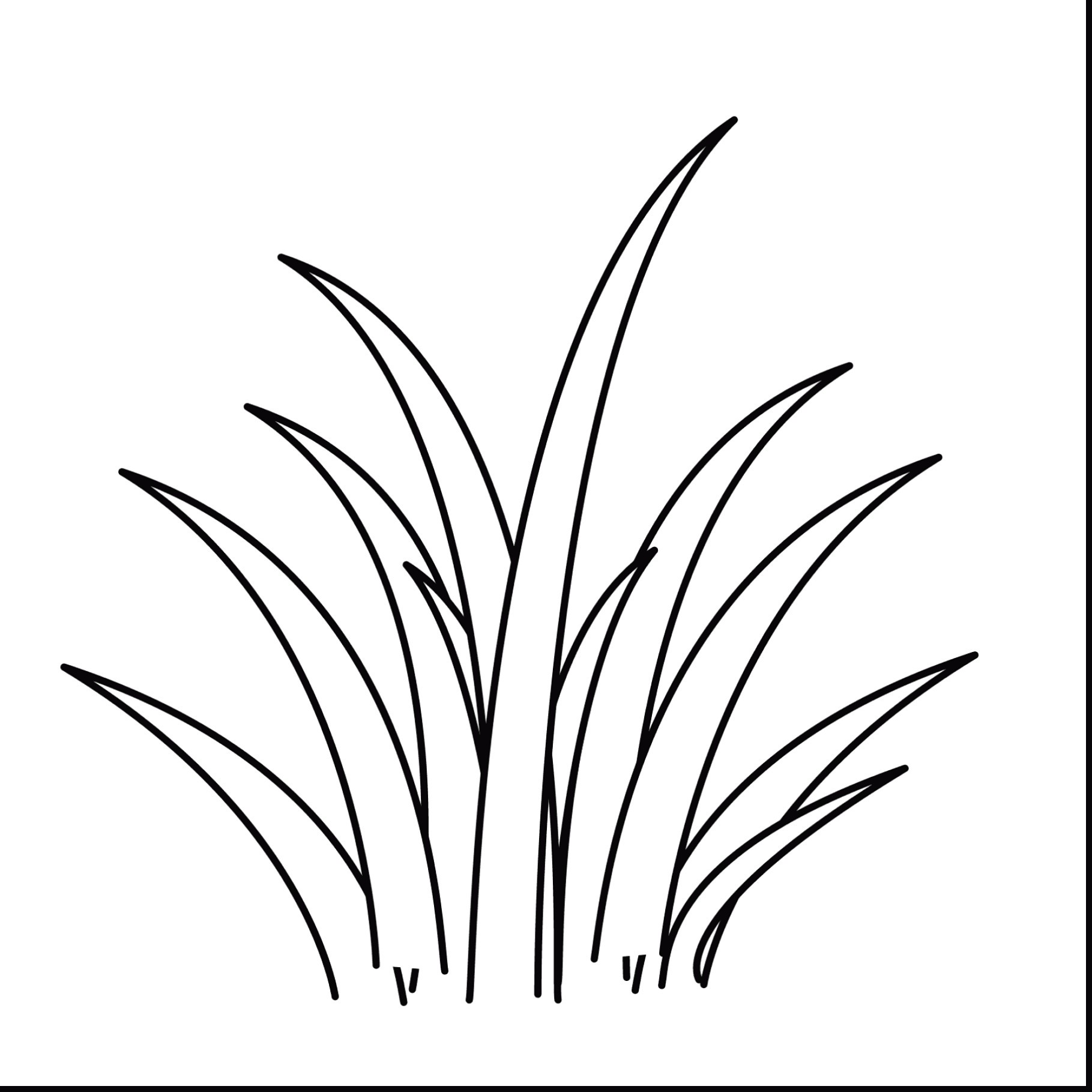 1819x1819 Sea Plants Coloring Pages Discover All
