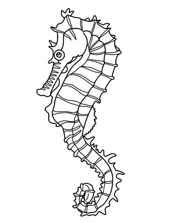 600x775 Seaweed Coloring Pages Seaweed Coloring Pages Free Coloring Pages