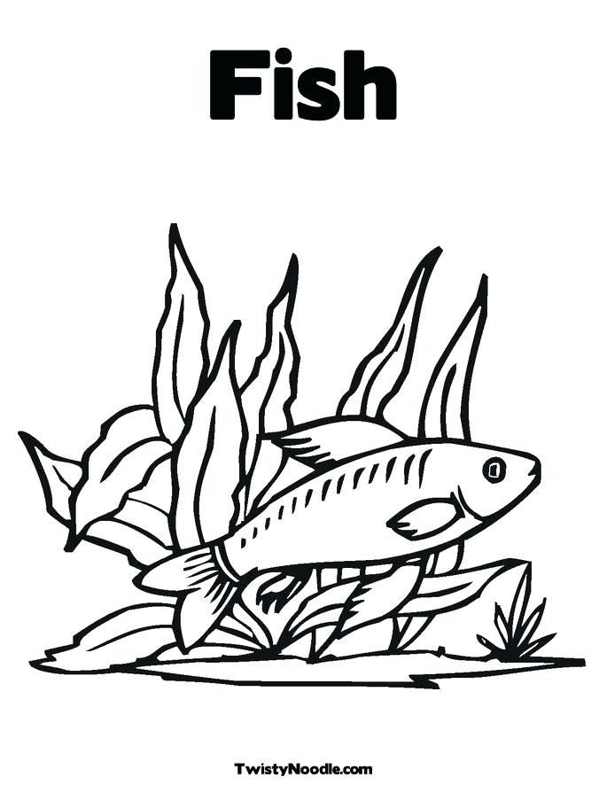 685x886 Seaweed Coloring Pages Seaweed Pictures To Color Seaweed Coloring