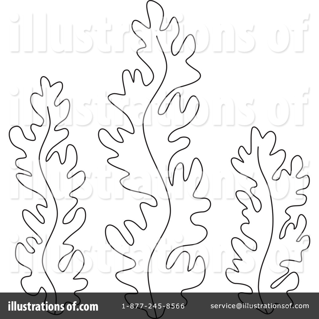 1024x1024 Seaweed Coloring Pages To Download And Print For Free