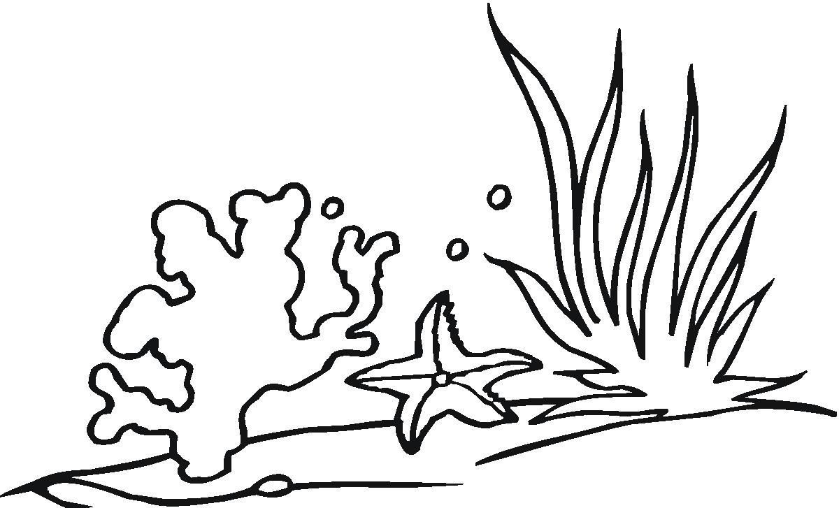 1200x727 Spotlight Sea Plants Coloring Pages Drawn Seaweed Outline 2 For