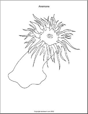 304x392 Coloring Page Kelp Forest (Set 1) Abcteach