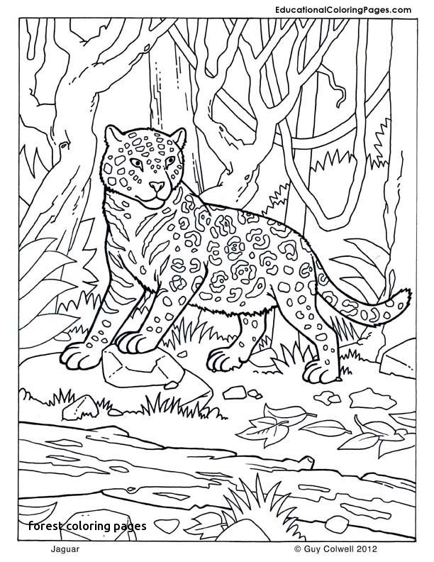 Kelp Forest Coloring Pages